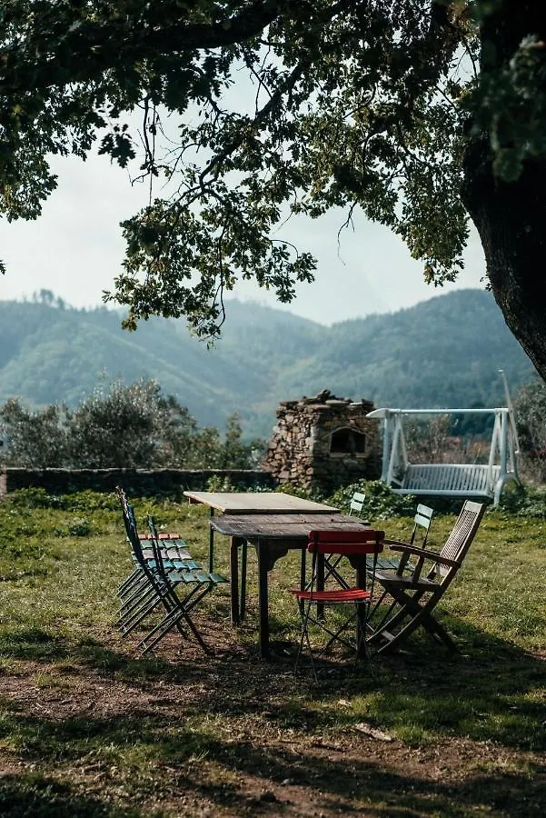 Reggioli- Appartamento Cestaio Gaiole in Chianti